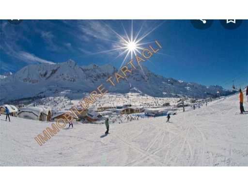 Foto Appartamento in Affitto a Ponte di Legno PASSO DEL TONALE