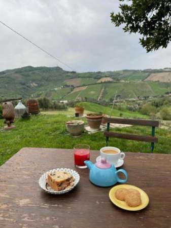 Foto Appartamento in affitto a Ripatransone