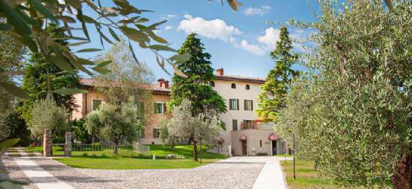 Foto Appartamento in Affitto a San Felice del Benaco