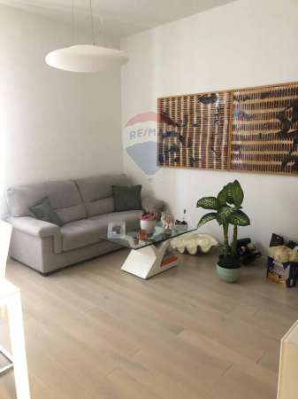Foto Appartamento in affitto a Senigallia