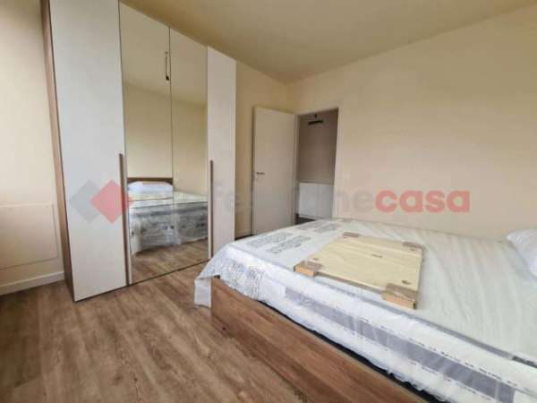 Foto Appartamento in affitto a Solesino - 3 locali 78mq