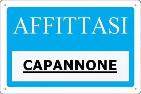 Foto Capannone artigianale in affitto a Montelupo Fiorentino 600 mq  Rif: 1242380