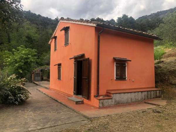 Foto Casa singola in affitto a Calci 75 mq  Rif: 1270380