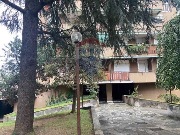 Foto Stanza in appartamento in affitto a Busto Arsizio - 3 locali 105mq