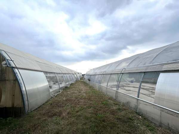 Foto Terreno agricolo in affitto a San Zenone Degli Ezzelini