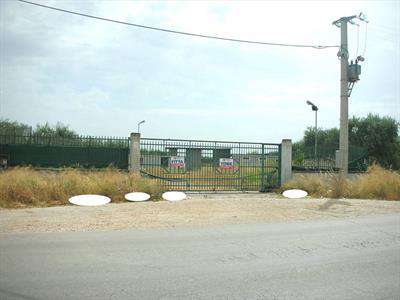 Foto Terreno edificabile in Affitto, 3500 mq (CANOSA DI PUGLIA)